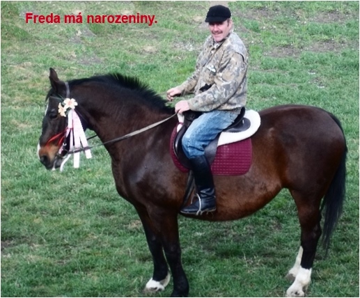 Jarka02Obr3-fredaMaNarozeniny.jpg, 131kB