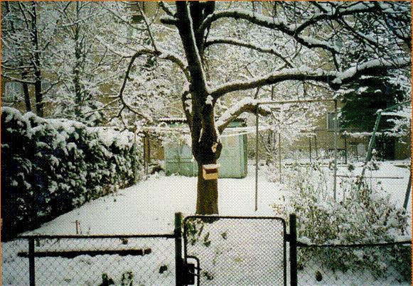 SUNUvodObr1.JPG, 108kB