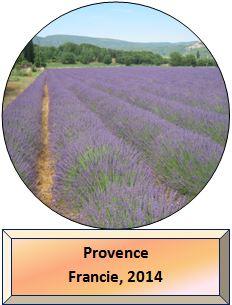Provence