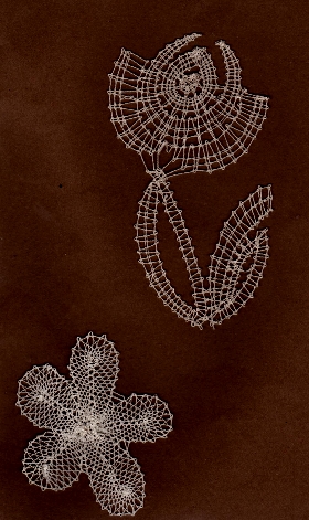 IvaKyt-002-kyticky_3.jpg, 130kB