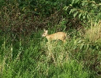 Tob05-min.jpg.jpg, 29kB