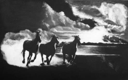 02Olin-SedeStinyPadiciKopyta.jpg, 16kB